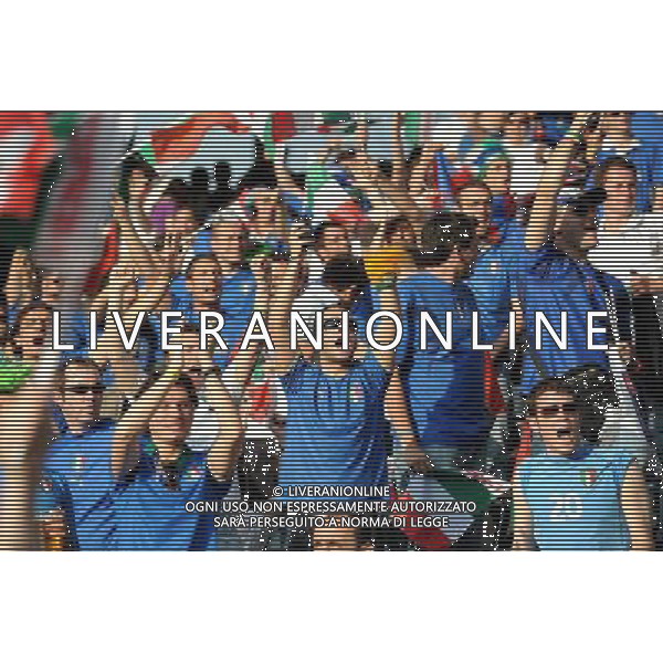 UEFA EURO 2008 Gruppo C M06 Berna - 09.06.2008 Olanda-Italia Nella Foto:TIFOSI ITALIA /Ph.Vitez-Ag. Aldo Liverani