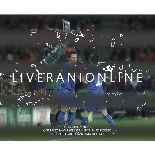 Olanda - Italia 09/06/2008 Europei 2008 nella foto LA SOSTITUZIONE DI ANTONIO DI NATALE CON ALESSANDRO DEL PIERO ph Luzzani/Ag. Aldo Liverani sas