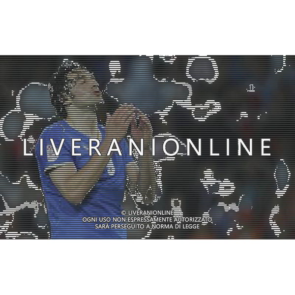 Olanda - Italia 09/06/2008 Europei 2008 nella foto LA DELUSIONE DI LUCA TONI ph Luzzani/Ag. Aldo Liverani sas