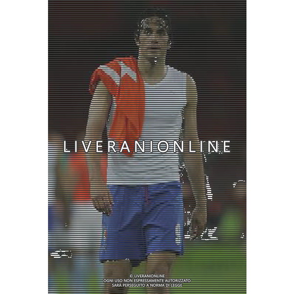 Olanda - Italia 09/06/2008 Europei 2008 nella foto LA DELUSIONE DI LUCA TONI A FINE GARA ph Luzzani/Ag. Aldo Liverani sas