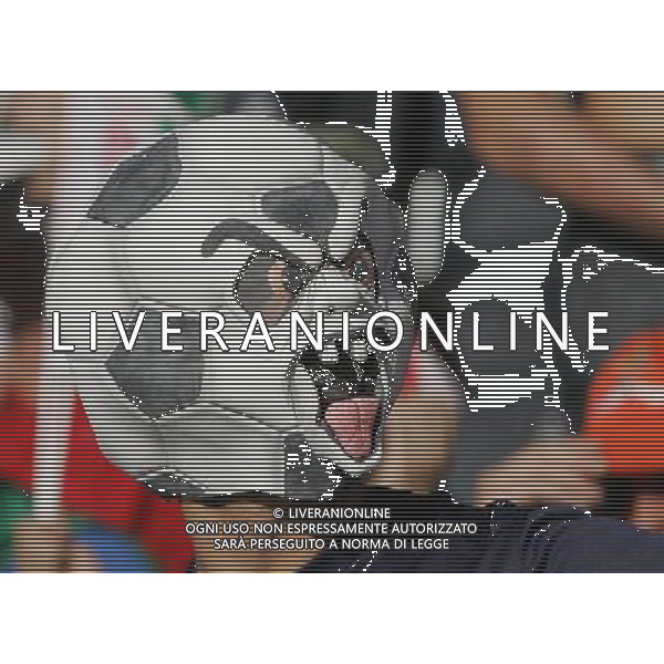 Prepartita Olanda - Italia 09/06/2008 Europei nella foto Tifosi Italia ph Luzzani/Ag. Aldo Liverani sas