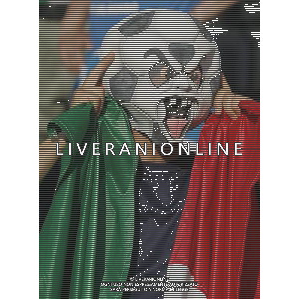 Prepartita Olanda - Italia 09/06/2008 Europei nella foto Tifosi Italia ph Luzzani/Ag. Aldo Liverani sas