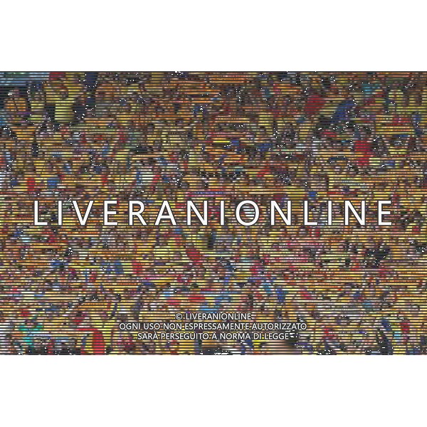 tifosi romania - 09.06.2008 - Romania / Francia - EUROPEI 2008 - SVIZZERA Photo: Icon Sport/Ag. Aldo Liverani Sas - ITALY ONLY -