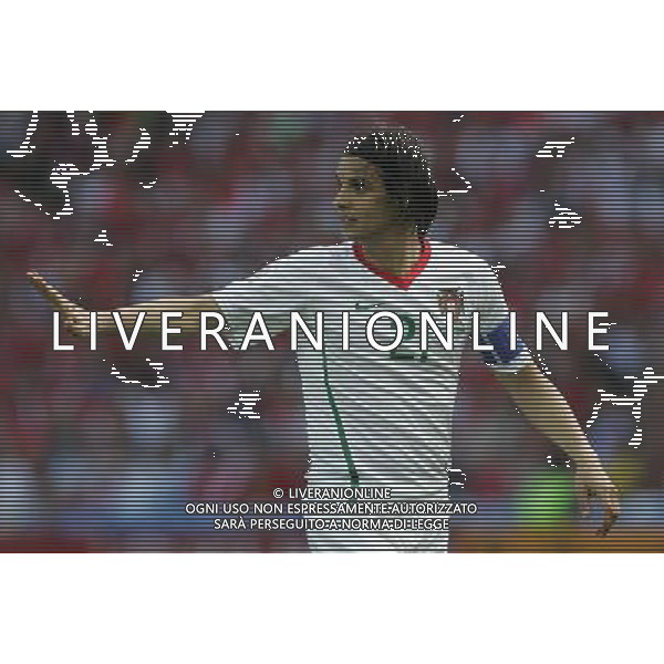 Repubblica Ceca - Portogallo 11/06/2008 Europei Svizzera nella foto nuno gomes ph luzzani/Ag. Aldo Liverani Sas