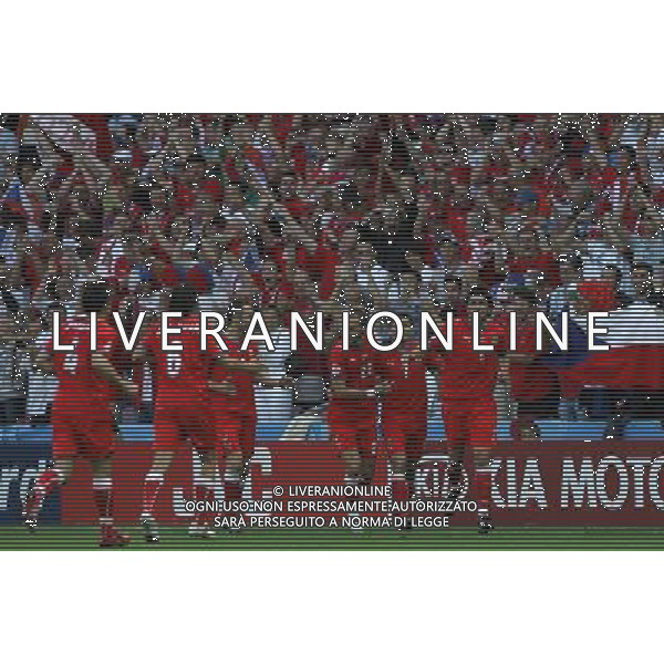 Repubblica Ceca - Portogallo 11/06/2008 Europei Svizzera nella foto esultanza dopo il gol del pareggio di sionko del 1-1 ph luzzani/Ag. Aldo Liverani Sas