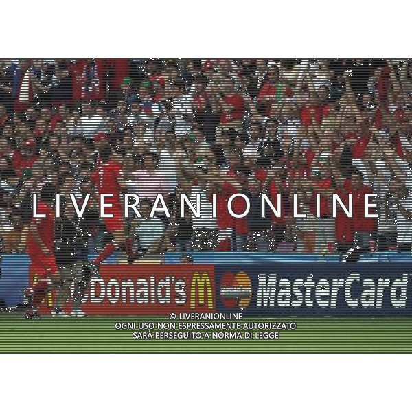 Repubblica Ceca - Portogallo 11/06/2008 Europei Svizzera nella foto esultanza dopo il gol del pareggio di sionko del 1-1 ph luzzani/Ag. Aldo Liverani Sas