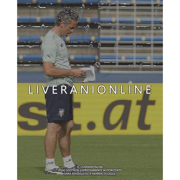 Allenamento Nazionale Italiana Baden - 11.06.2008 Nella Foto:DONADONI ROBERTO CONSULTA GLI APPUNTI /Ph.Vitez-Ag. Aldo Liverani