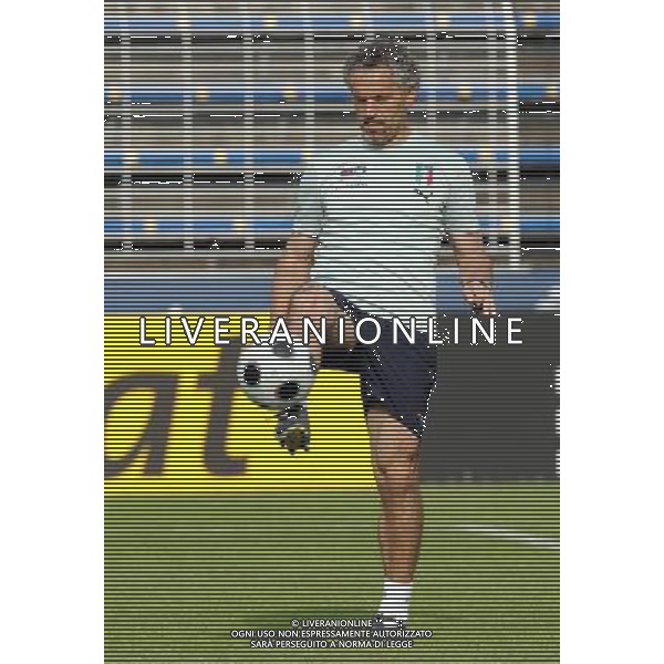 Allenamento Nazionale Italiana Baden - 11.06.2008 Nella Foto:DONADONI ROBERTO /Ph.Vitez-Ag. Aldo Liverani