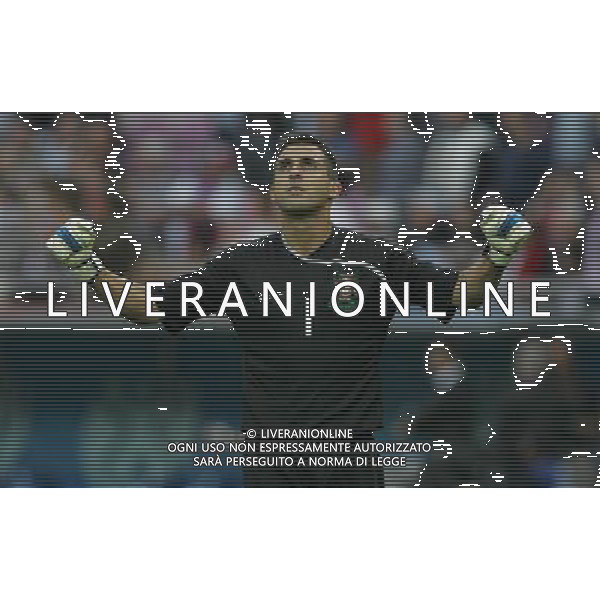 Repubblica Ceca - Portogallo 11/06/2008 Europei Svizzera nella foto esultanza ricardo dopo il gol di quaresma del 0-3 ph luzzani/Ag. Aldo Liverani Sas