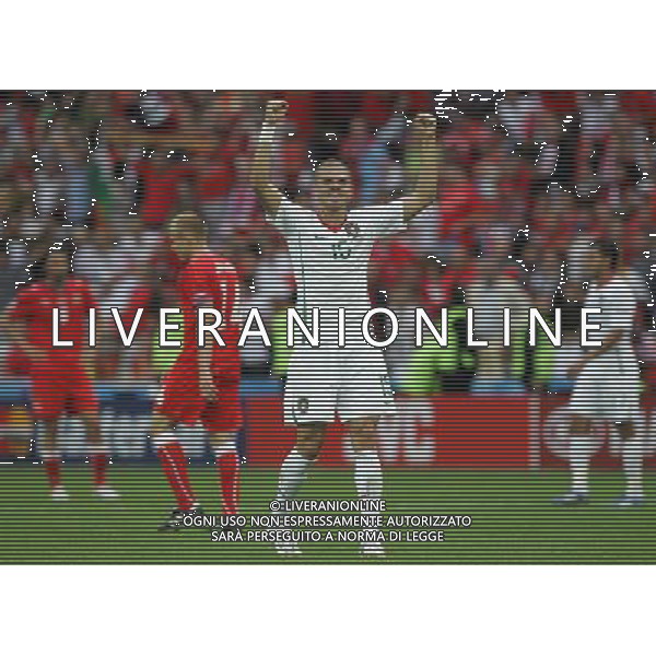 Repubblica Ceca - Portogallo 11/06/2008 Europei Svizzera nella foto esultanza fine gara pepe ph luzzani/Ag. Aldo Liverani Sas