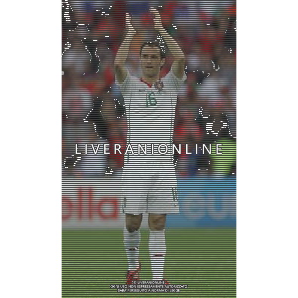 Repubblica Ceca - Portogallo 11/06/2008 Europei Svizzera nella foto esultanza fine gara carvalho ph luzzani/Ag. Aldo Liverani Sas