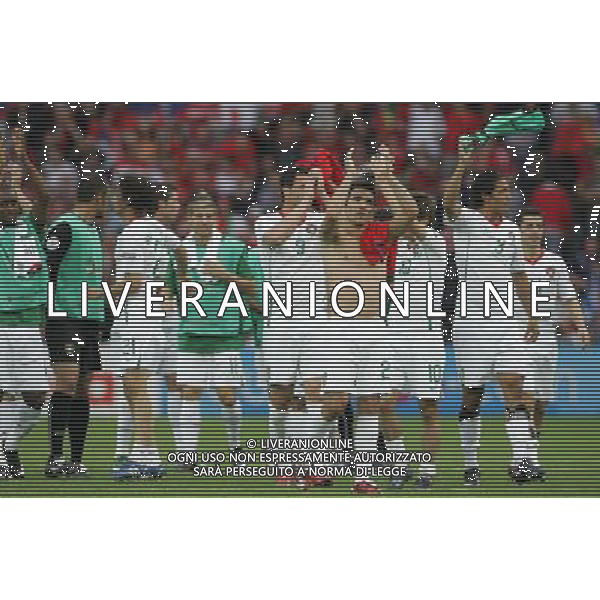 Repubblica Ceca - Portogallo 11/06/2008 Europei Svizzera nella foto esultanza fine gara portogallo ph luzzani/Ag. Aldo Liverani Sas