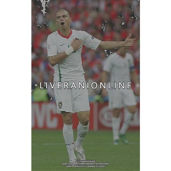 Ginevra 11-06-2008 Campionati europei calcio EURO2008 repubblica ceca-portogallo 1:3 nella foto esultanza pepe a fine gara ph marco luzzani/ag aldo liverani s.a.s.