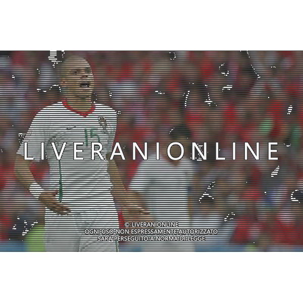 Ginevra 11-06-2008 Campionati europei calcio EURO2008 repubblica ceca-portogallo 1:3 nella foto esultanza pepe a fine gara ph marco luzzani/ag aldo liverani s.a.s.