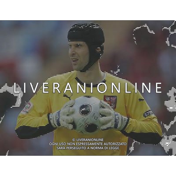 Ginevra 11-06-2008 Campionati europei calcio EURO2008 repubblica ceca-portogallo 1:3 nella foto petr cech ph marco luzzani/ag aldo liverani s.a.s.