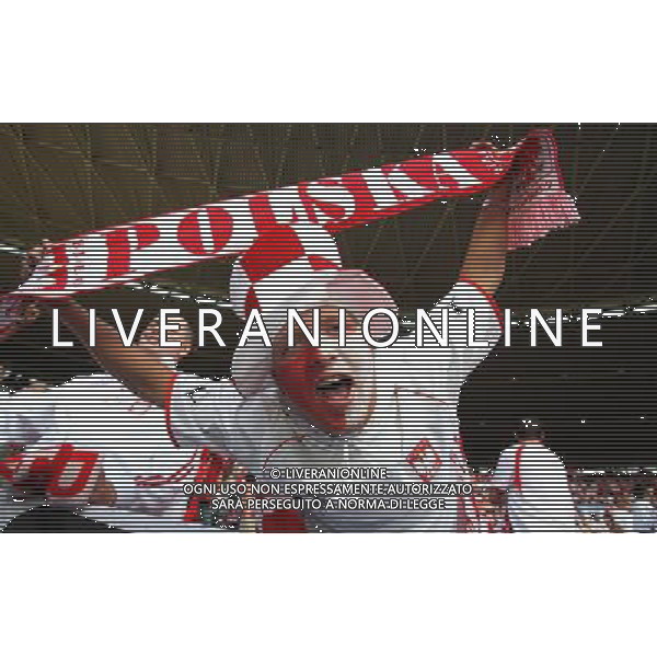 Austria - Polonia 12.06.2008 Europei nella foto tifosi della polonia copyright by firo sportphoto/Ag. Aldo Liverani Sas - ITALY ONLY -