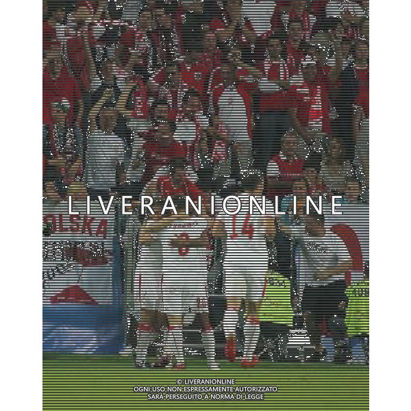 Austria - Polonia 12.06.2008 Europei nella fotoesultanza dopo il gol di Roger Guerreiro copyright by firo sportphoto/Ag. Aldo Liverani Sas - ITALY ONLY -