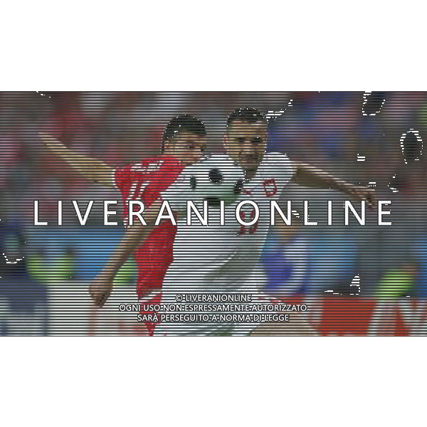 Austria - Polonia 12.06.2008 Europei nella foto Umit Korkmaz,AUT , Marcin Wasilewski ,POL copyright by firo sportphoto/Ag. Aldo Liverani Sas - ITALY ONLY -