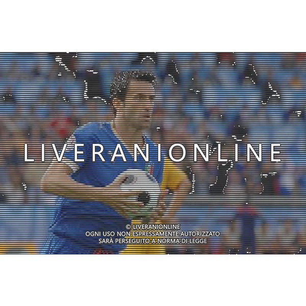 UEFA EURO 2008 Gruppo C M13 Zurigo - 13.06.2008 Italia-Romania Nella Foto:PANUCCI ESULTA /Ph.Vitez-Ag. Aldo Liverani