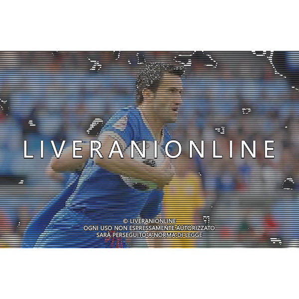 UEFA EURO 2008 Gruppo C M13 Zurigo - 13.06.2008 Italia-Romania Nella Foto:PANUCCI ESULTA /Ph.Vitez-Ag. Aldo Liverani