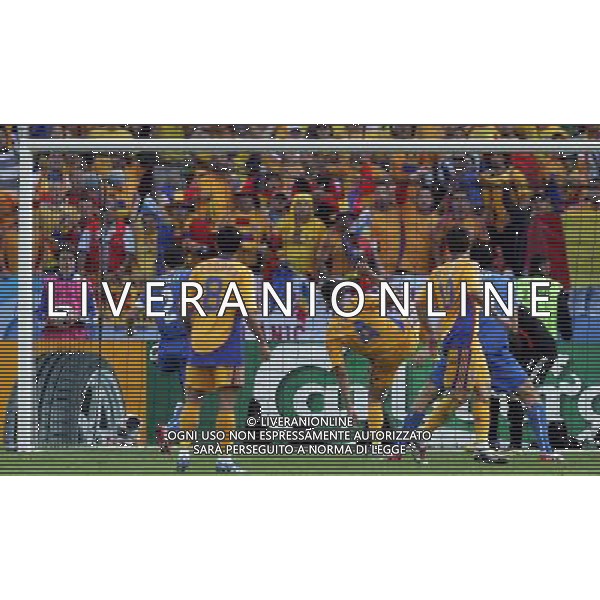 Italia-Romania UEFA EURO 2008 Gruppo C M13 Zurigo - 13.06.2008 Nella Foto: il gol del pareggio di christian panucci del 1-1 Ph.Luzzani/Ag. Aldo Liverani
