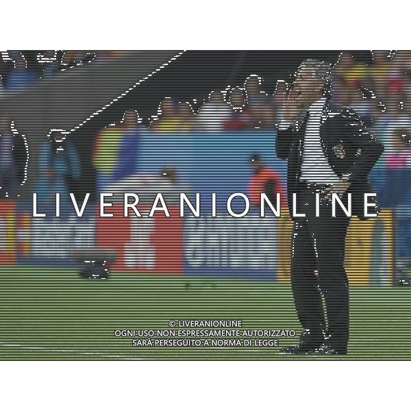 Zurigo (CH) 13-06-2008 Campionato Europeo Calcio EURO2008 italia-romania 1:1 nella foto roberto donadoni ph marco luzzani/ag aldo liverani s.a.s.