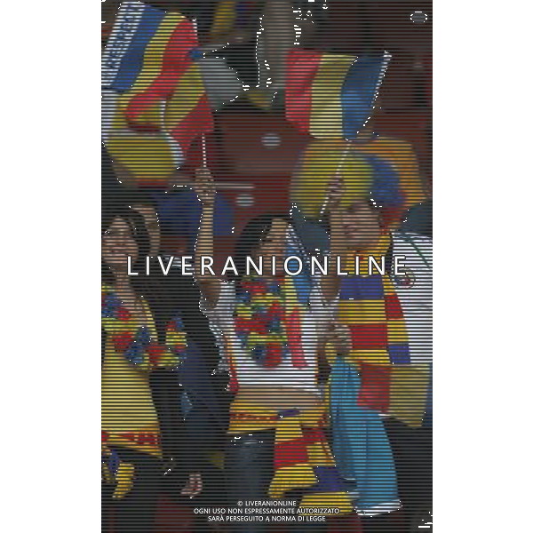 Zurigo (CH) 13-06-2008 Campionato Europeo Calcio EURO2008 italia-romania 1:1 nella foto tifo romania ph marco luzzani/ag aldo liverani s.a.s.