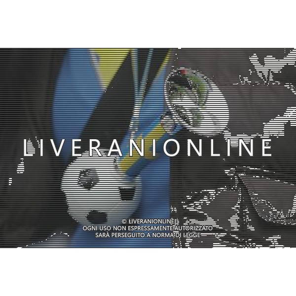 Svezia - Spagna 14/06/2008 Europei Innsbruck nella foto Tifosi Svezia ph luzzani/Ag. Aldo Liverani Sas