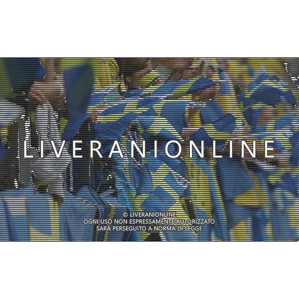 Svezia - Spagna 14/06/2008 Europei Innsbruck nella foto Tifosi Svezia ph luzzani/Ag. Aldo Liverani Sas