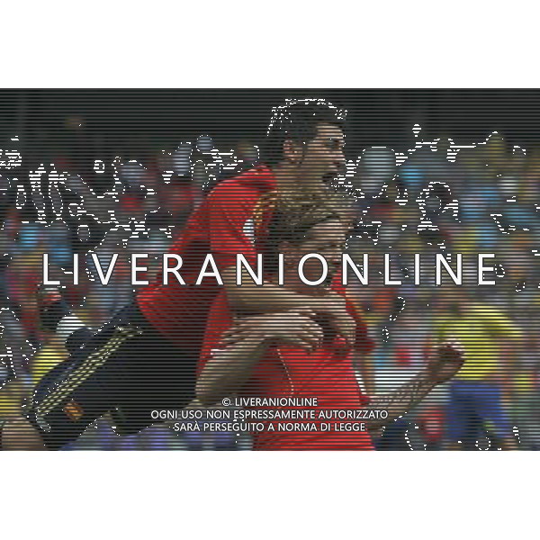 Svezia - Spagna 14/06/2008 Europei Innsbruck nella foto esultanza dopo il gol di fernando torres con david villa ph luzzani/Ag. Aldo Liverani Sas