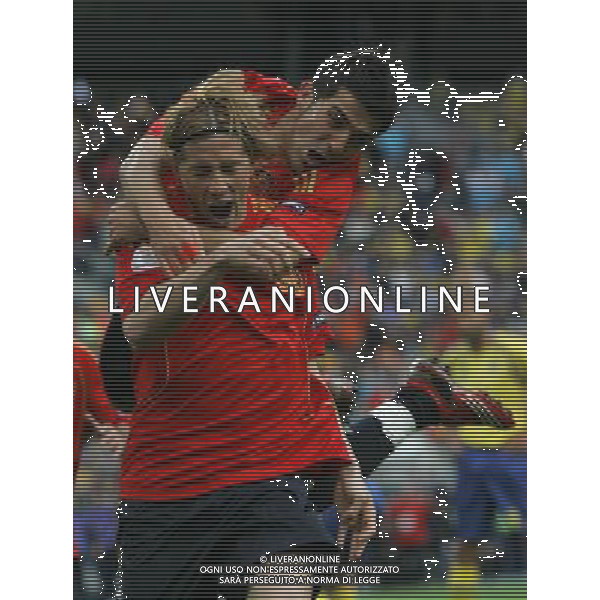 Svezia - Spagna 14/06/2008 Europei Innsbruck nella foto esultanza dopo il gol di fernando torres con david villa ph luzzani/Ag. Aldo Liverani Sas