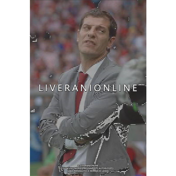 UEFA EURO 2008 Gruppo B M03 Vienna - 08.06.2008 Austria-Croazia Nella Foto:BILIC SLAVEN /Ph.Vitez-Ag. Aldo Liverani