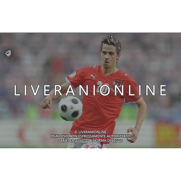 UEFA EURO 2008 Gruppo B M03 Vienna - 08.06.2008 Austria-Croazia Nella Foto:HARNIK MARTIN /Ph.Vitez-Ag. Aldo Liverani