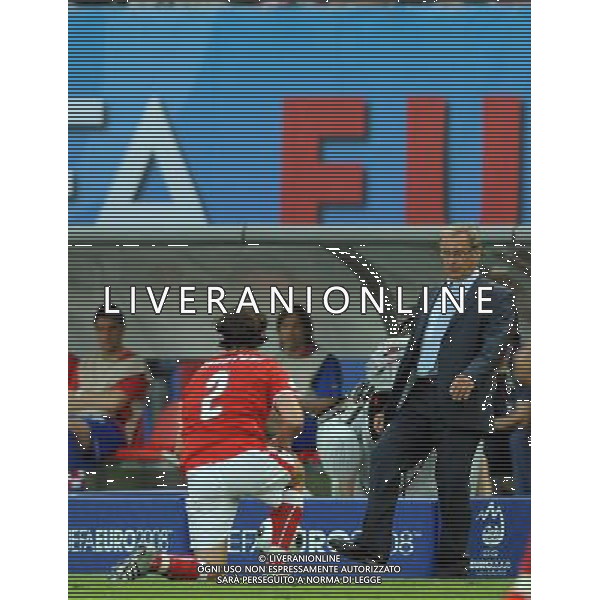 UEFA EURO 2008 Gruppo B M03 Vienna - 08.06.2008 Austria-Croazia Nella Foto:HICKERSBERGER JOSEF /Ph.Vitez-Ag. Aldo Liverani