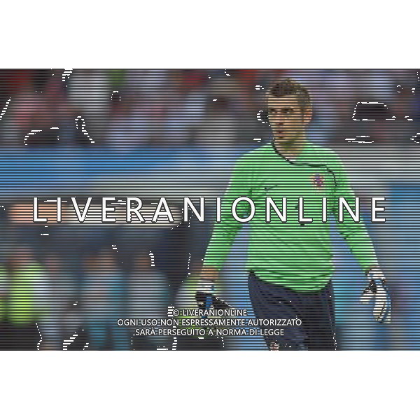 UEFA EURO 2008 Gruppo B M03 Vienna - 08.06.2008 Austria-Croazia Nella Foto:PLETIKOSA STIPE /Ph.Vitez-Ag. Aldo Liverani