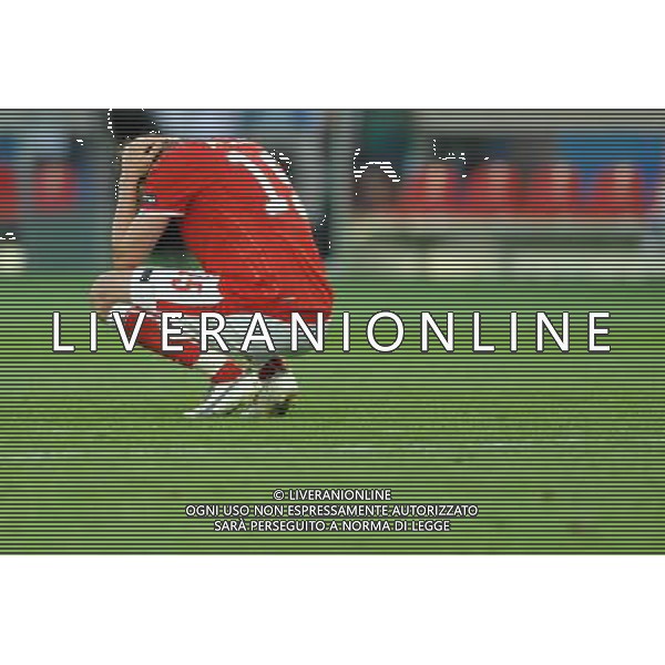 UEFA EURO 2008 Gruppo B M03 Vienna - 08.06.2008 Austria-Croazia Nella Foto:PRODL SEBASTIAN /Ph.Vitez-Ag. Aldo Liverani