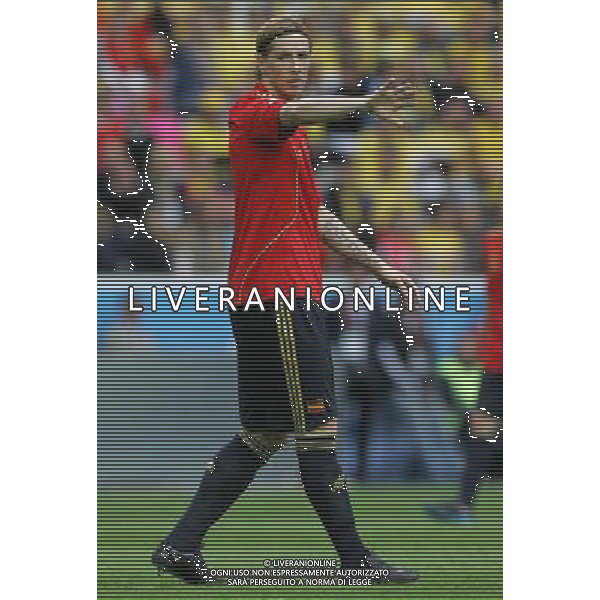 Innsbruck (AUT) 14-06-2008 Campionato europeoo calcio EURO2008 svezia-spagna 1:2 nella foto fernando torres ph marco luzzani/ag aldo liverani s.p.a.