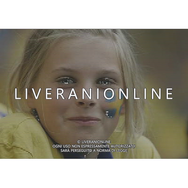 Innsbruck (AUT) 14-06-2008 Campionato europeoo calcio EURO2008 svezia-spagna 1:2 nella foto TIFO SVEZIA ph marco luzzani/ag aldo liverani s.p.a.