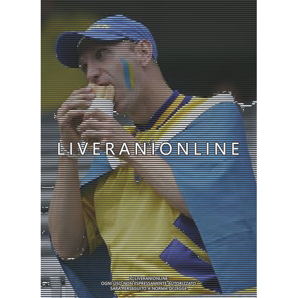 Innsbruck (AUT) 14-06-2008 Campionato europeoo calcio EURO2008 svezia-spagna 1:2 nella foto TIFO SVEZIA ph marco luzzani/ag aldo liverani s.p.a.