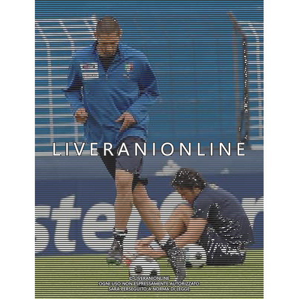 Allenamento Nazionale Italiana Baden - 15.06.2008 Nella Foto:MATERAZZI MARCO /Ph.Vitez-Ag. Aldo Liverani