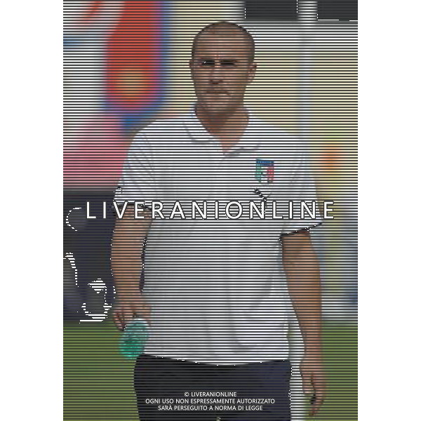 Allenamento Nazionale Italiana Baden - 15.06.2008 Nella Foto:CANNAVARO FABIO /Ph.Vitez-Ag. Aldo Liverani