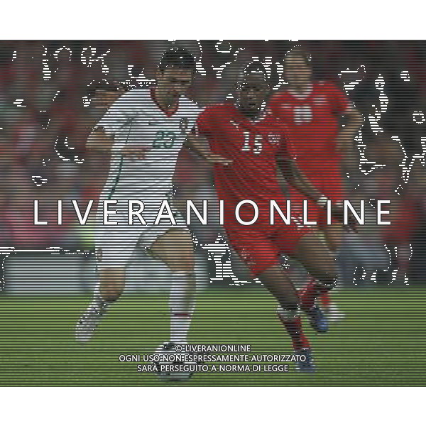 Svizzera - Portogallo 15/06/2008 Europei 2008 nella foto helder postiga e fernandes ph luzzani/Ag. Aldo Liverani sas