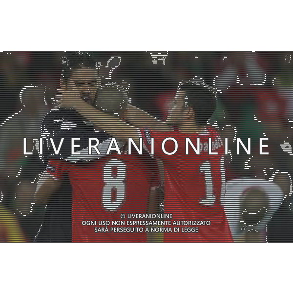 Svizzera - Portogallo 15/06/2008 Europei 2008 nella foto esultanza svizzera a fine gara ph luzzani/Ag. Aldo Liverani sas