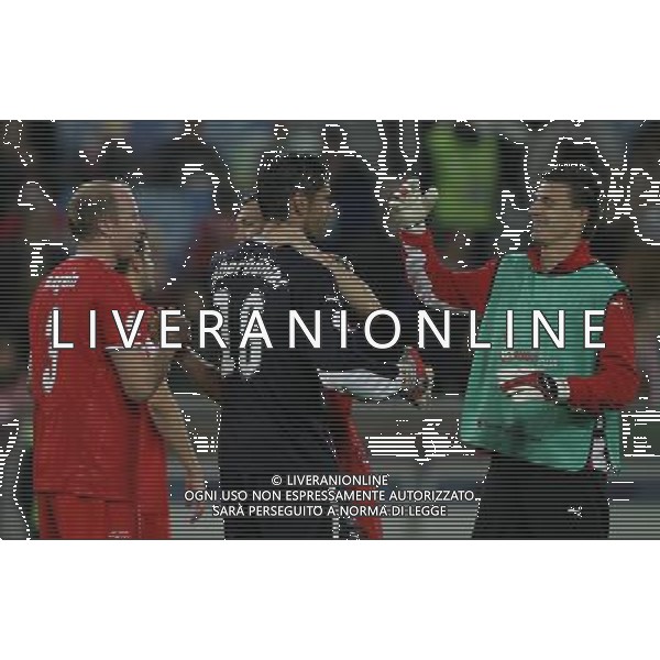 Basilea (CH) 15-06-2008 Campionato europeo calcio EURO2008 svizzera-portogallo 2:0 nella foto esultanza svizzera a fine partita ph marco luzzani/ag aldo liverani s.a.s.