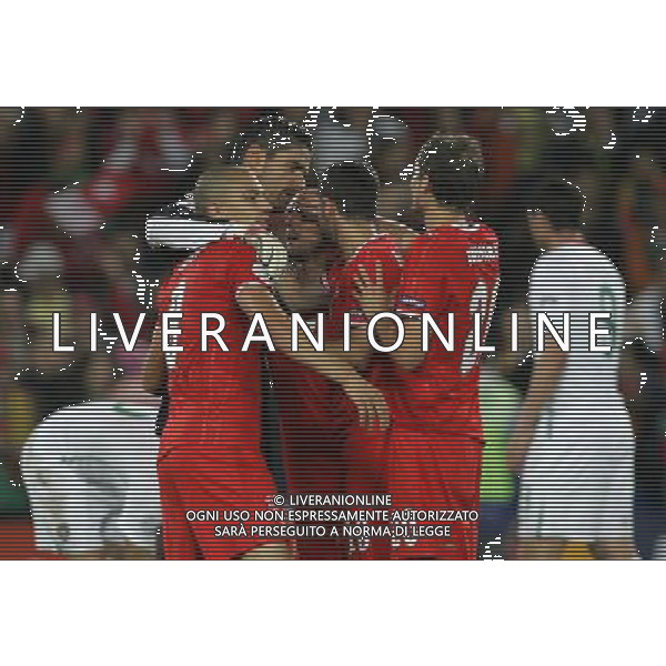 Basilea (CH) 15-06-2008 Campionato europeo calcio EURO2008 svizzera-portogallo 2:0 nella foto esultanza svizzera a fine partita ph marco luzzani/ag aldo liverani s.a.s.