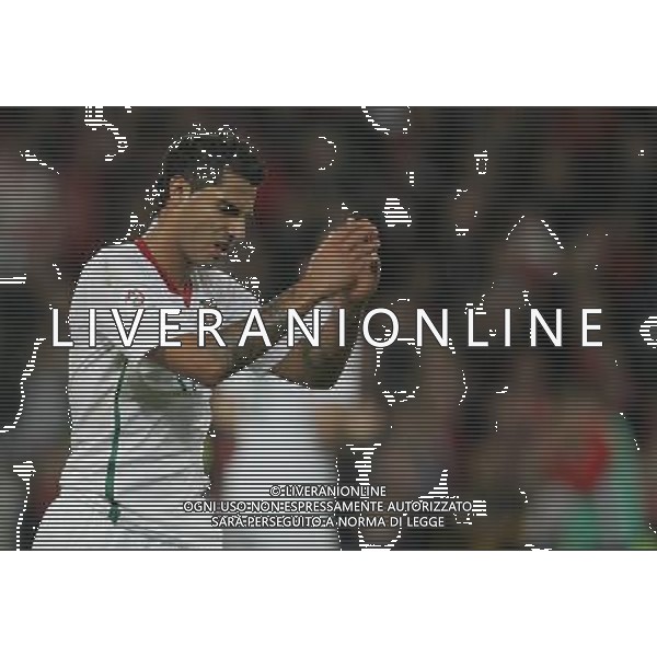 Basilea (CH) 15-06-2008 Campionato europeo calcio EURO2008 svizzera-portogallo 2:0 nella foto ricardo quaresma ph marco luzzani/ag aldo liverani s.a.s.