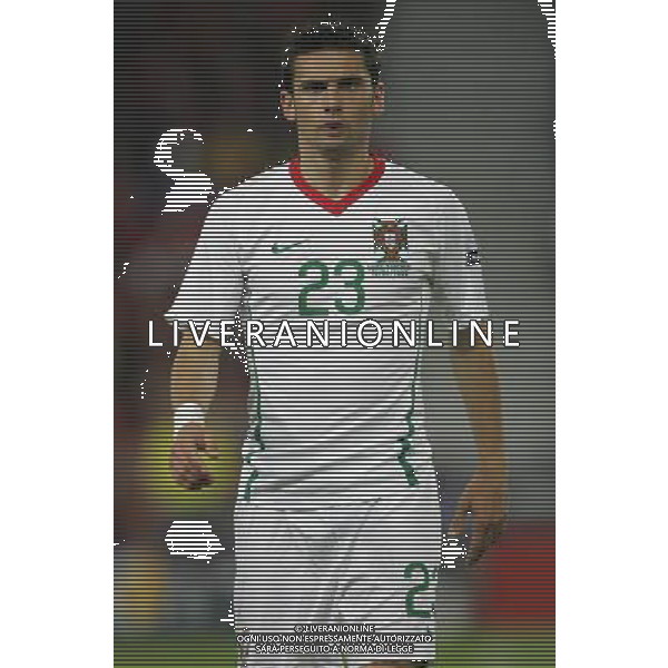 Basilea (CH) 15-06-2008 Campionato europeo calcio EURO2008 svizzera-portogallo 2:0 nella foto helder postiga ph marco luzzani/ag aldo liverani s.a.s.