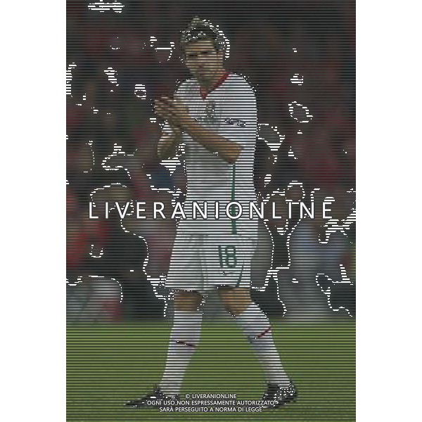 Basilea (CH) 15-06-2008 Campionato europeo calcio EURO2008 svizzera-portogallo 2:0 nella foto miguel veloso ph marco luzzani/ag aldo liverani s.a.s.