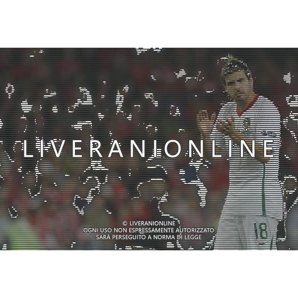 Basilea (CH) 15-06-2008 Campionato europeo calcio EURO2008 svizzera-portogallo 2:0 nella foto miguel veloso ph marco luzzani/ag aldo liverani s.a.s.