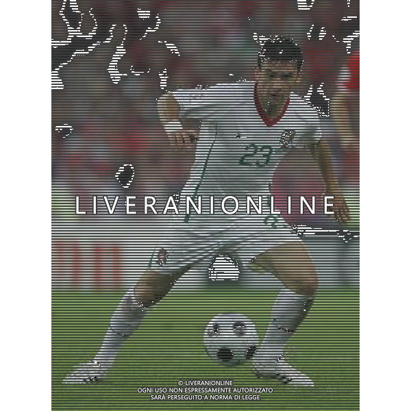 Basilea (CH) 15-06-2008 Campionato europeo calcio EURO2008 svizzera-portogallo 2:0 nella foto helder postiga ph marco luzzani/ag aldo liverani s.a.s.